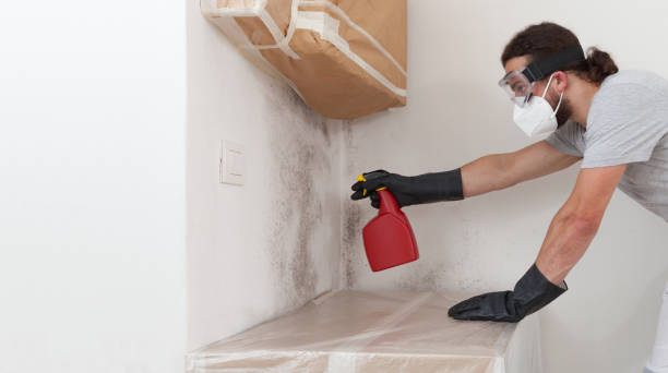 Professional Crawl Space Mold Removal technician working in Rawlings, VA