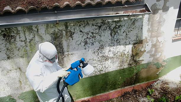 Top rated local Crawl Space Mold Removal specialists in Rawlings, VA